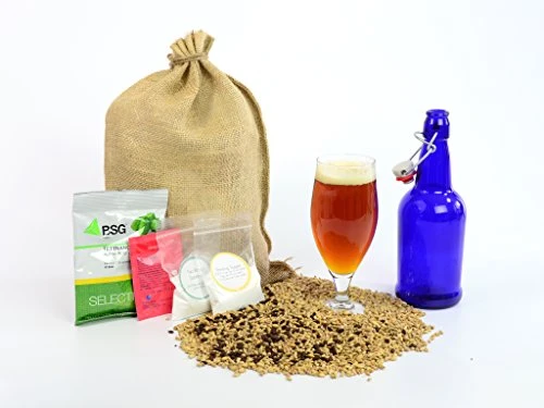All-American Amber Ale 1 Gallon Home Brewing Homebrew Recipe Kit (5.9%)